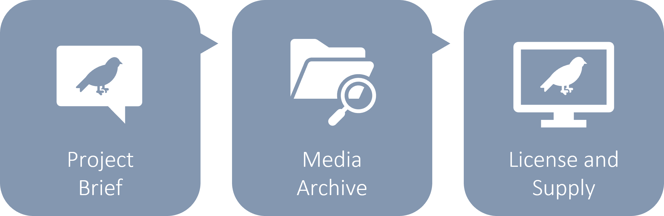 Media Licensing – John Kha